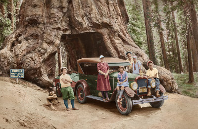 2017 Redwood Family 30714__sm.jpg