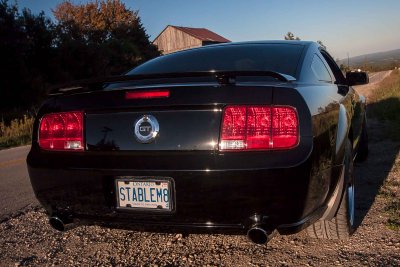 StableM8 roadside rear close.jpg