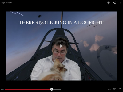 Dogfight Tip