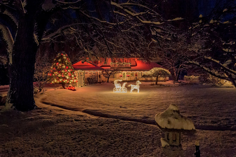 Merry Christmas