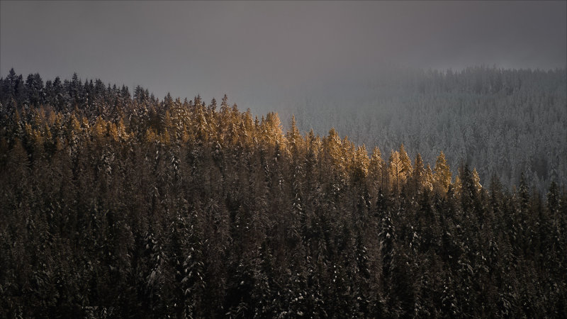 A Sliver of Sunlight