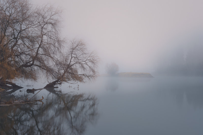 Early Morning