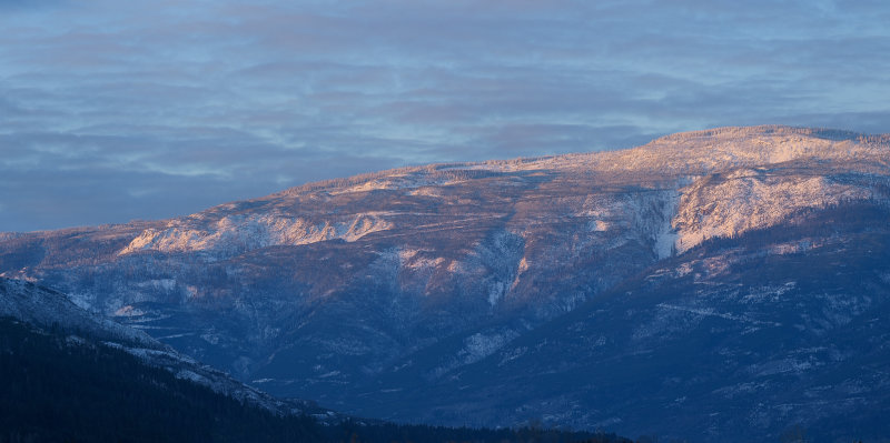 Soft Early Light