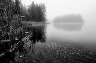 Morning at Gardom Lake