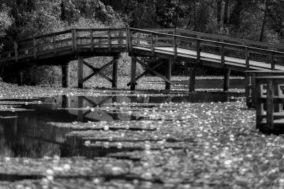 Mill Lake Bridge