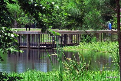 AT THE  ARBORETUM