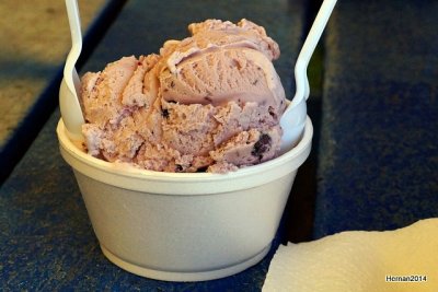 blueberry ice cream