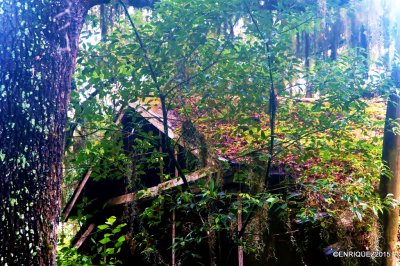 DSC00192-001.JPG