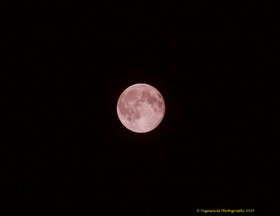 Late capture of the super Moon