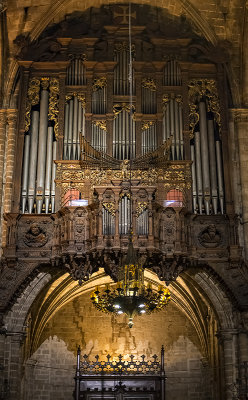 The organ