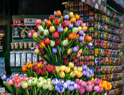 Bloemenmarkt (6)