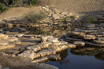 The wadi (4)