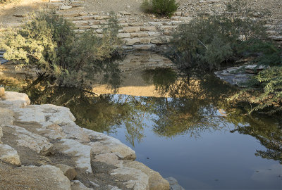 The wadi (7)