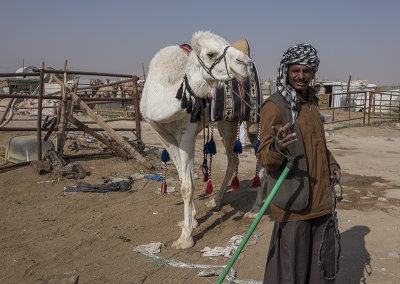 A man and his camel (1)