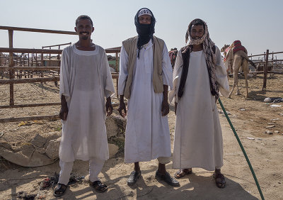 Three camel handlers