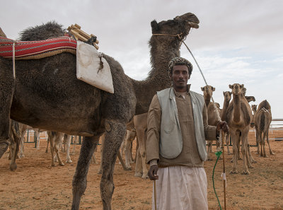 Camel and handler