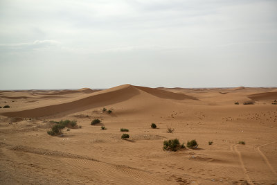 Umm Ruqaiba Desert