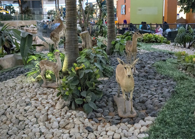 Wildlife at the mall