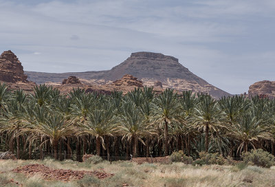 Al-'Ula oasis