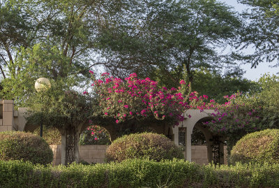 Al Khozama Garden in Riyadh's DQ