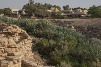 A lush wadi