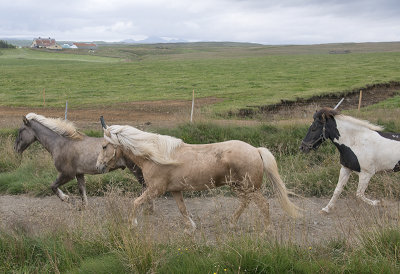 Running free