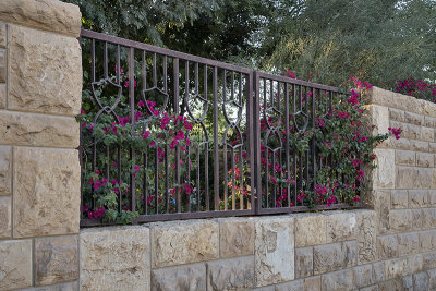 Oasis in the DQ: Hajer Garden