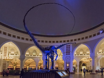 Dubai Dino, The Dubai Mall