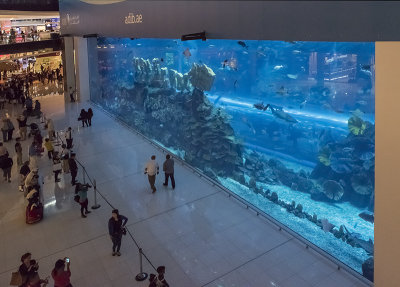 Aquarium, The Dubai Mall