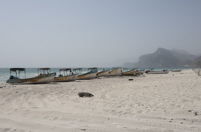 Al Mughsail, fishing fleet