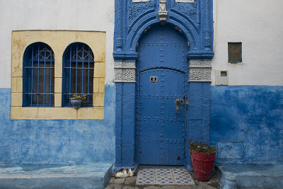 Rabat, Kasbah, two cats