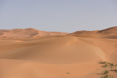 Sahara Desert (shot one-handed from a moving camel)