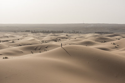 Dunes under the Sahara sun
