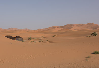 Sahara Desert, our own private tent