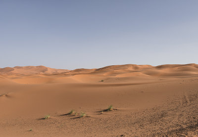 Sahara Desert, on the way to the sand dune