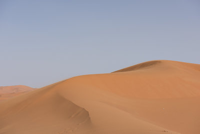 Sahara Desert, pristine