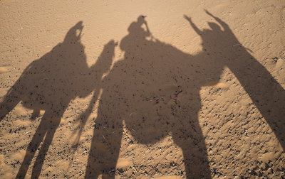 Sahara Desert, for the camel handler