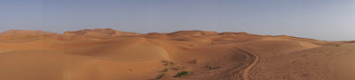 Sahara Desert, a last glance
