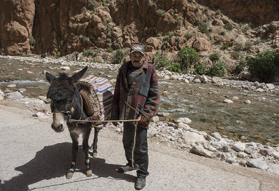 Todgha Gorge, the Berber taxi