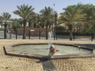 Romp in the fountain (1)
