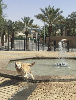 Romp in the fountain (3)