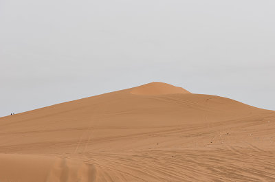 Trip to Riyadh's Red Sand Dunes