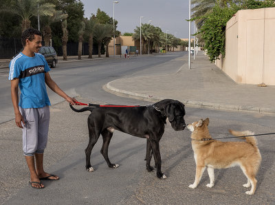 Sahraa and the prince's dog