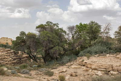 Hint of the wadi at Tuwaiq