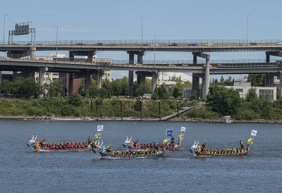 Dragon boat race: In progress