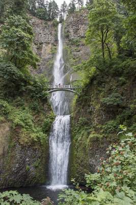 Multnomah Falls