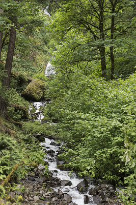 Wahkeena Falls