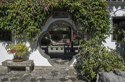 Lan Su Chinese Garden, through a flower 