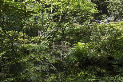 Portland Japanese Garden