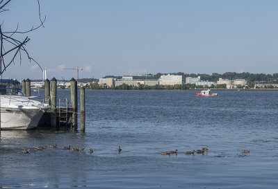 Along the Potomac